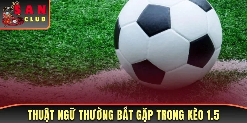 Hướng Dẫn Chơi Kèo Chấp 1.5 Từ A Đến Z Và Kỹ Thuật Soi Kèo 2 Thuật ngữ thường bắt gặp trong kèo 1.5